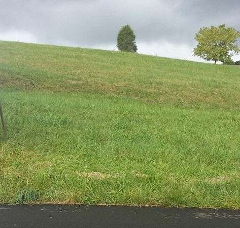 0.6 Acres of Mixed-Use Land for Sale in Lebanon, Virginia