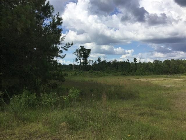 34 Acres of Agricultural Land for Sale in Leesville, Louisiana