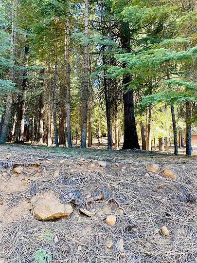 0.61 Acres of Residential Land for Sale in Chester, California