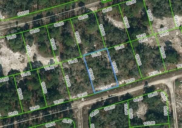 0.22 Acres of Residential Land for Sale in Lake Placid, Florida
