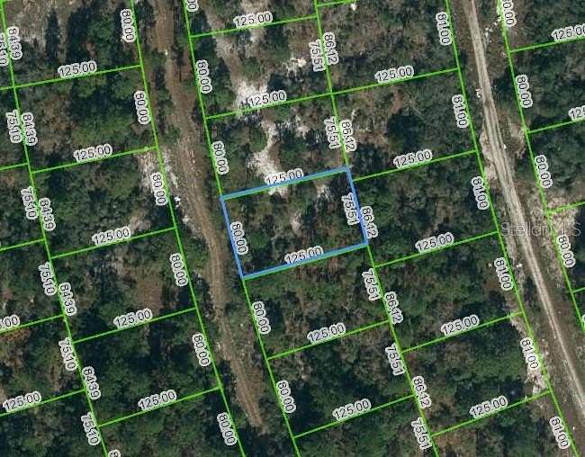 0.22 Acres of Residential Land for Sale in Lake Placid, Florida
