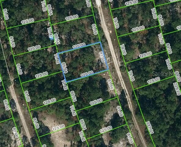 0.15 Acres of Residential Land for Sale in Lake Placid, Florida