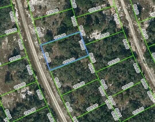 0.23 Acres of Residential Land for Sale in Lake Placid, Florida