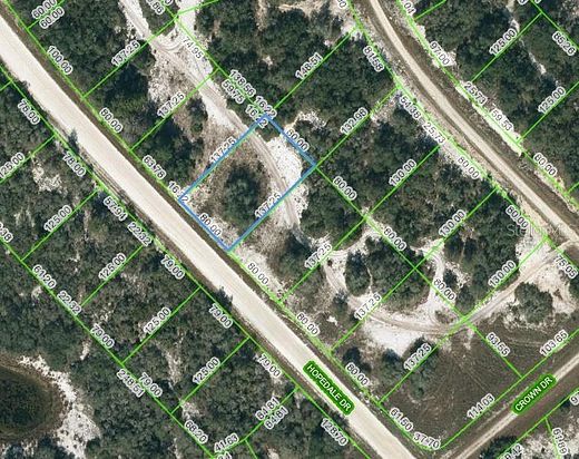 0.25 Acres of Residential Land for Sale in Lake Placid, Florida