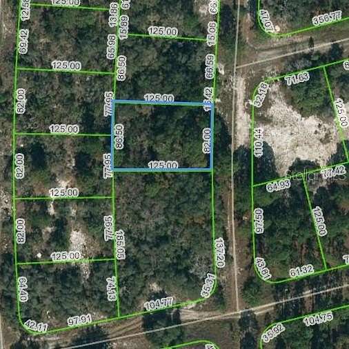 0.24 Acres of Residential Land for Sale in Lake Placid, Florida