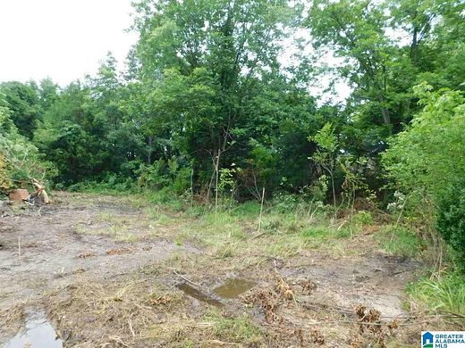 1 Acre of Commercial Land for Sale in Ashville, Alabama