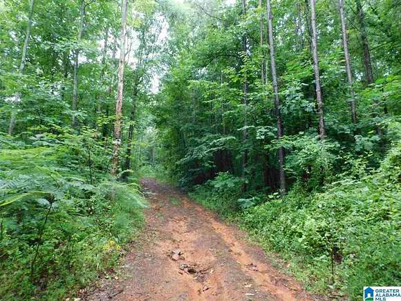 160 Acres of Recreational Land for Sale in Gallant, Alabama