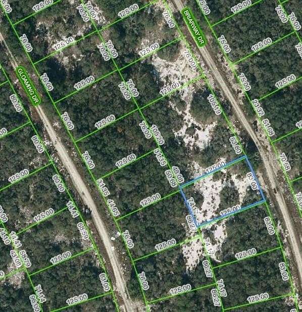 0.23 Acres of Residential Land for Sale in Lake Placid, Florida