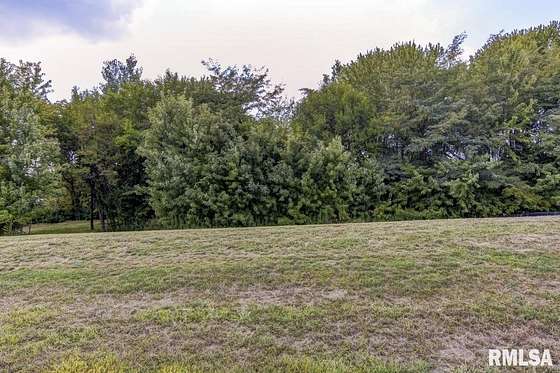 0.24 Acres of Residential Land for Sale in Chatham, Illinois