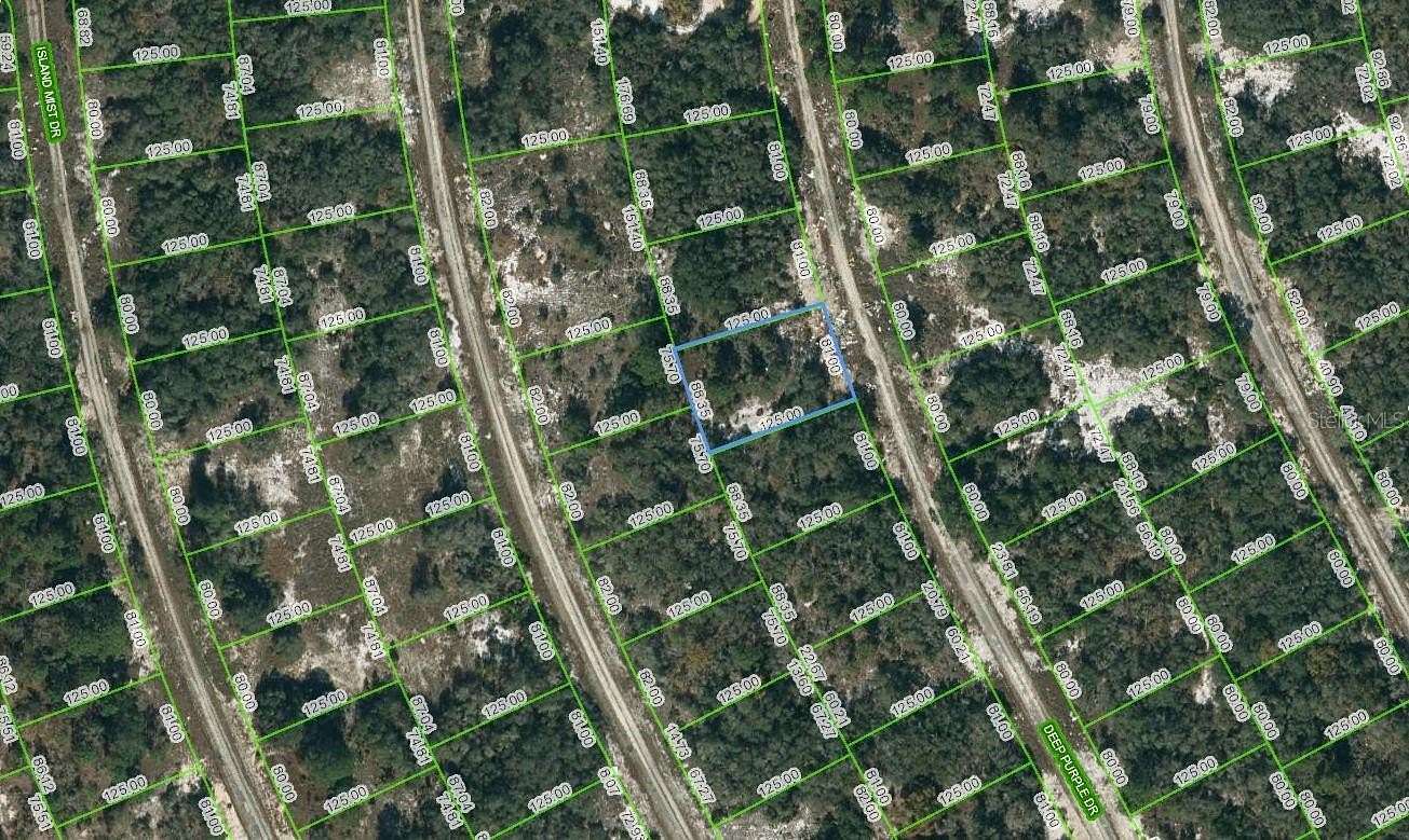 0.24 Acres of Residential Land for Sale in Lake Placid, Florida