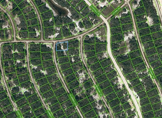 0.26 Acres of Residential Land for Sale in Lake Placid, Florida