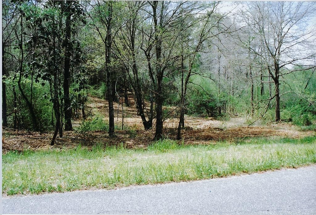 9 Acres of Residential Land for Sale in Headland, Alabama