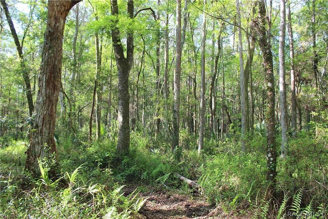 84.4 Acres of Recreational Land for Sale in Homosassa, Florida