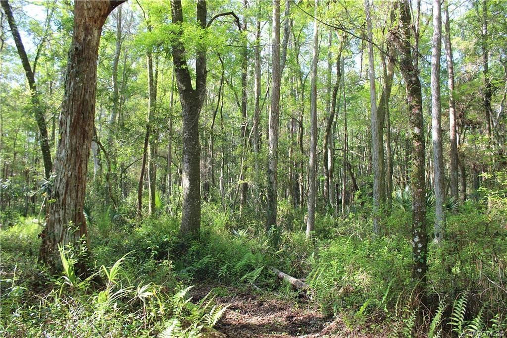 84.4 Acres of Land for Sale in Homosassa, Florida