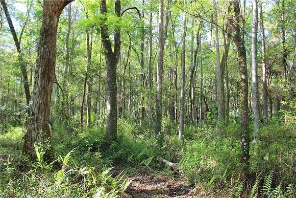 84.37 Acres of Recreational Land for Sale in Homosassa, Florida