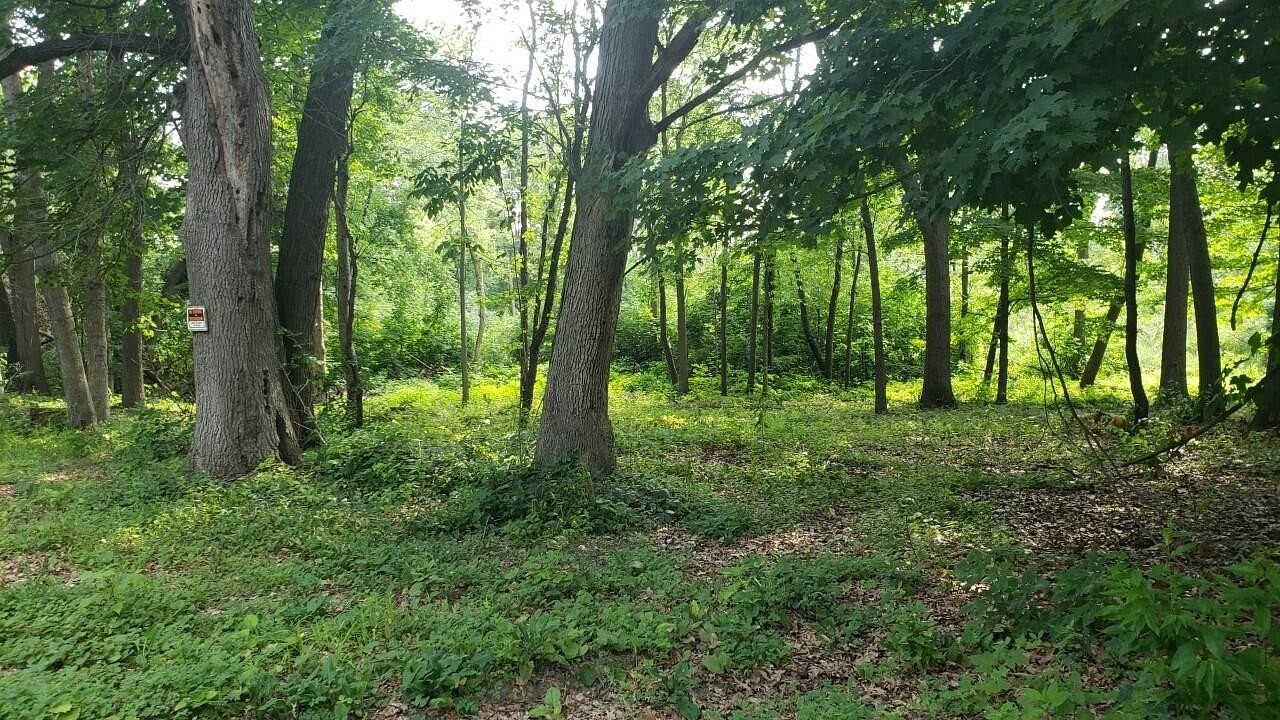1 Acre of Residential Land for Sale in Ionia, Michigan
