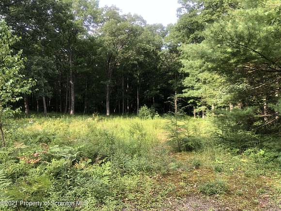 1 Acre of Residential Land for Sale in Buck Township, Pennsylvania