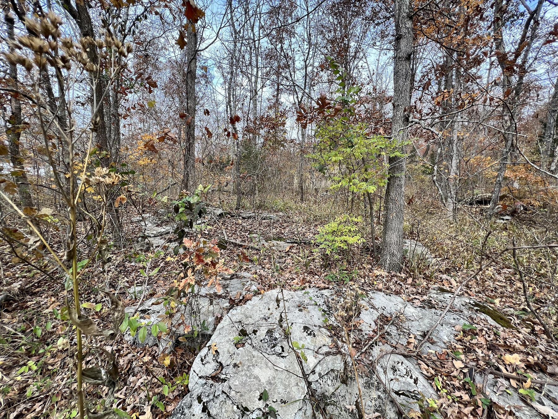 0.68 Acres of Residential Land for Sale in Somerset, Kentucky