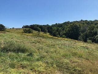 6.3 Acres of Land for Sale in Monticello, Kentucky
