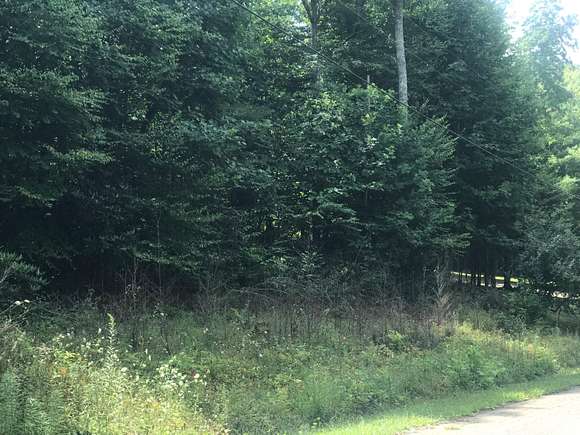 0.5 Acres of Residential Land for Sale in Mountain City, Tennessee