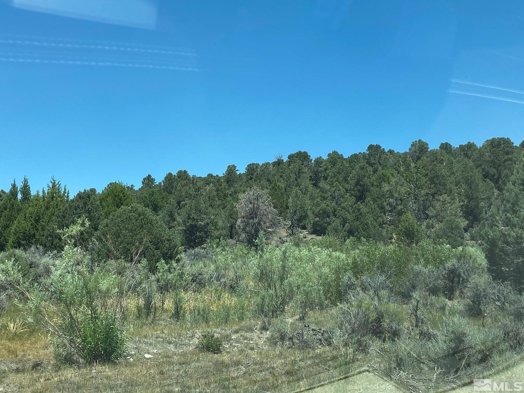 240 Acres of Land for Sale in Minden, Nevada
