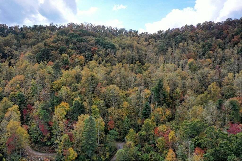 16 Acres of Land for Sale in Sylva, North Carolina