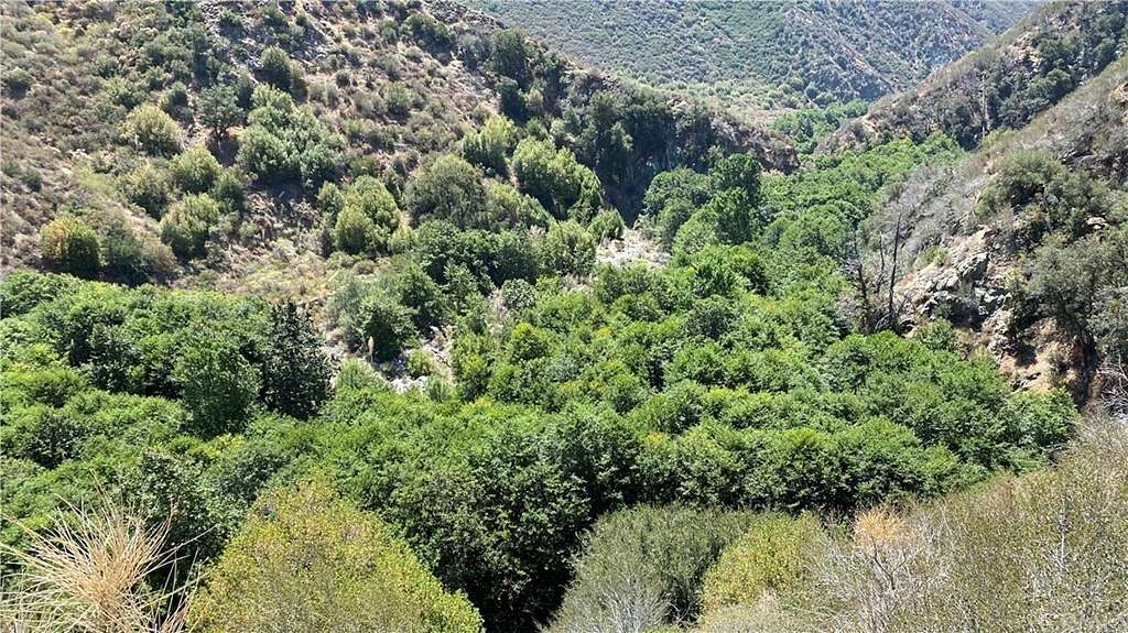 0.152 Acres of Residential Land for Sale in Mount Baldy, California