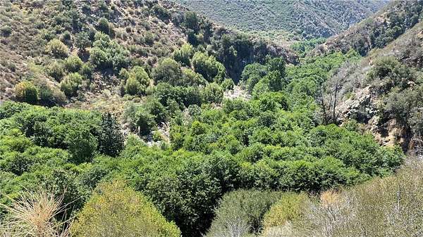 0.15 Acres of Land for Sale in Mount Baldy, California
