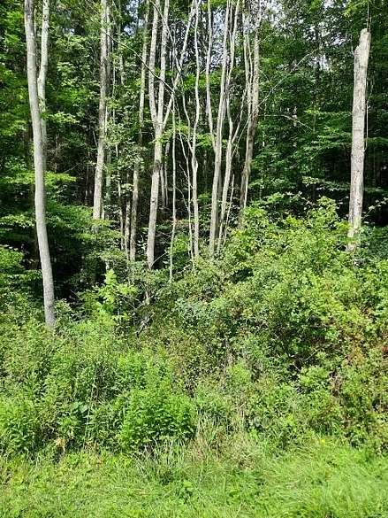1 Acre of Land for Sale in Port Allegany, Pennsylvania