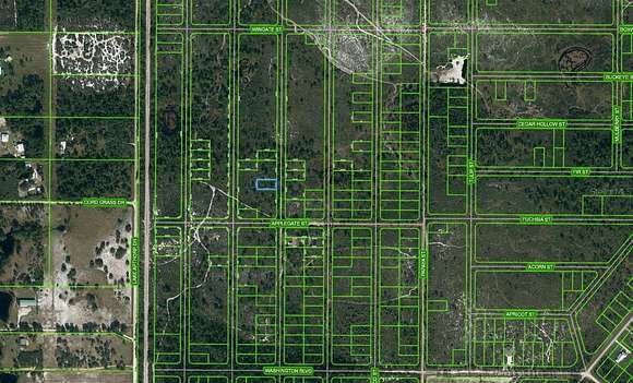 0.26 Acres of Residential Land for Sale in Lake Placid, Florida