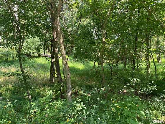 0.216 Acres of Residential Land for Sale in Goreville, Illinois