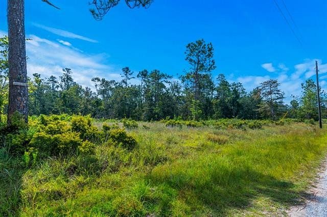 16.3 Acres of Recreational Land for Sale in Ragley, Louisiana
