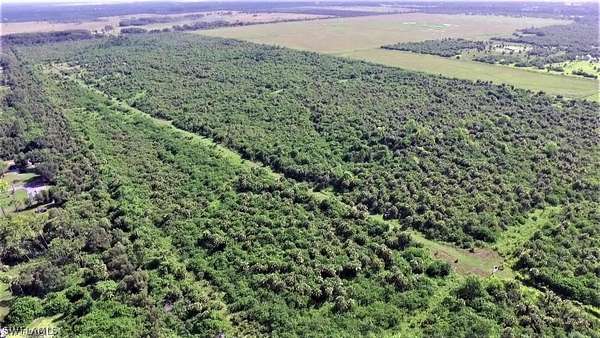 136 Acres of Recreational Land for Sale in LaBelle, Florida