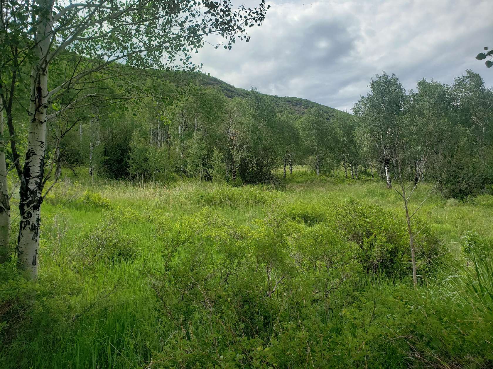 35.2 Acres of Recreational Land for Sale in Oak Creek, Colorado