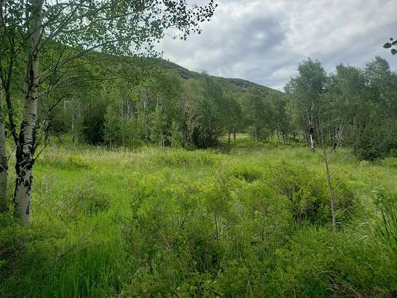 35.2 Acres of Recreational Land for Sale in Oak Creek, Colorado