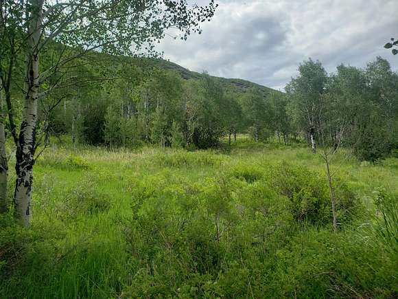 35.16 Acres of Recreational Land for Sale in Oak Creek, Colorado