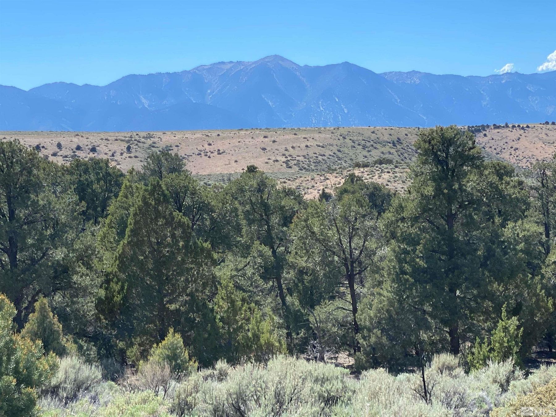 39 Acres of Land for Sale in Gardnerville, Nevada