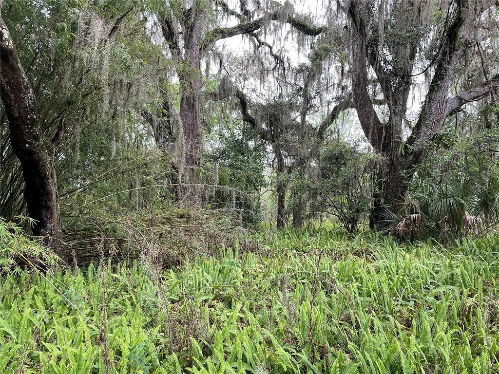 0.66 Acres of Commercial Land for Sale in Brooksville, Florida