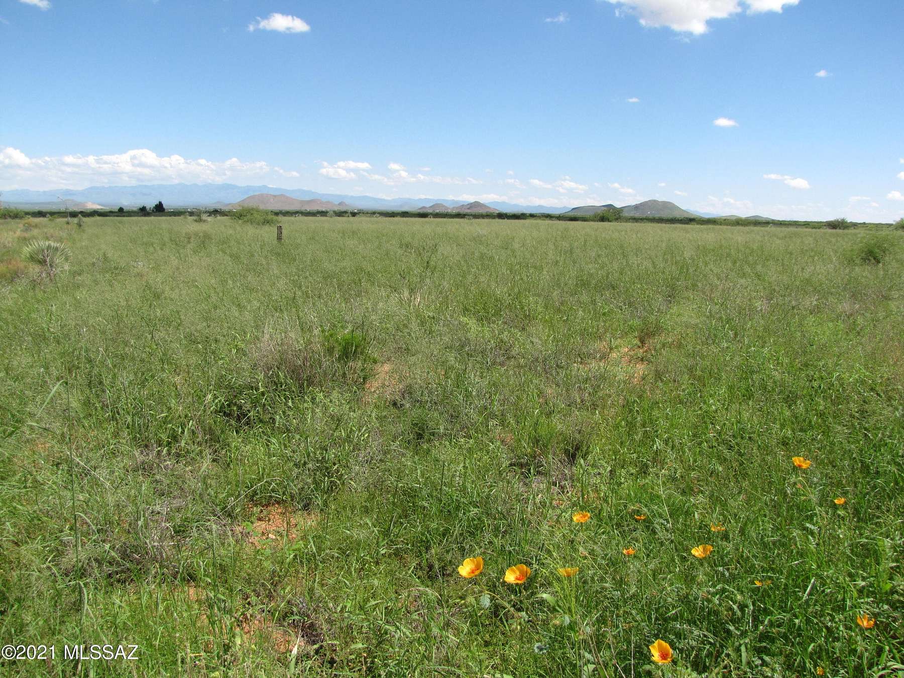 1.6 Acres of Residential Land for Sale in Pearce, Arizona