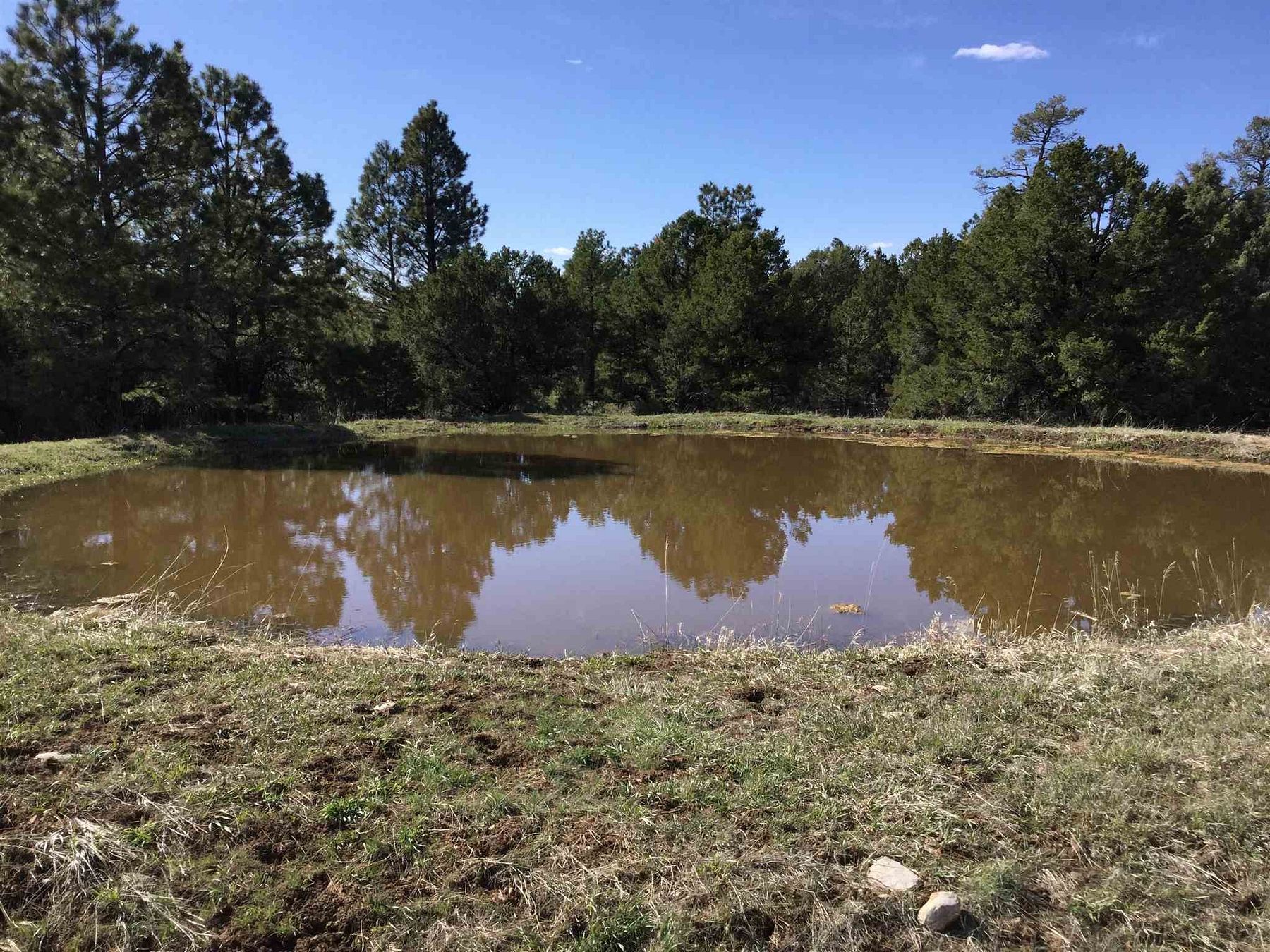 40.9 Acres of Recreational Land & Farm for Sale in Canjilon, New Mexico