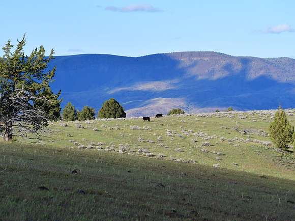 4,354 Acres of Recreational Land & Farm for Sale in Antelope, Oregon