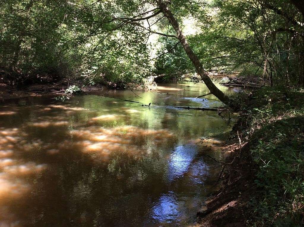 183 Acres of Land for Sale in Luverne, Alabama