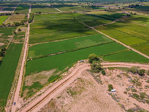 54.9 Acres of Agricultural Land for Sale in Veguita, New Mexico