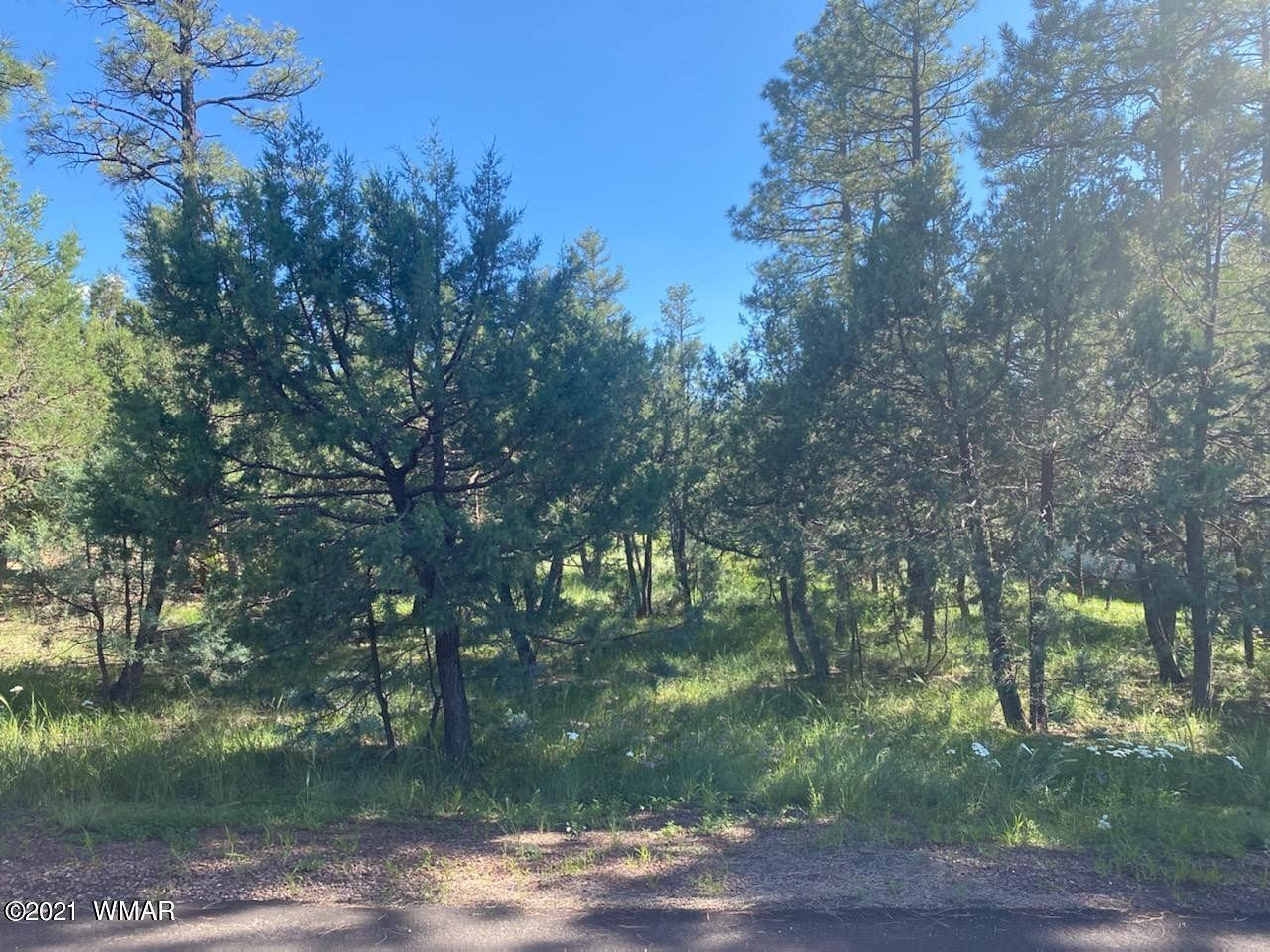 0.23 Acres of Residential Land for Sale in Lakeside, Arizona