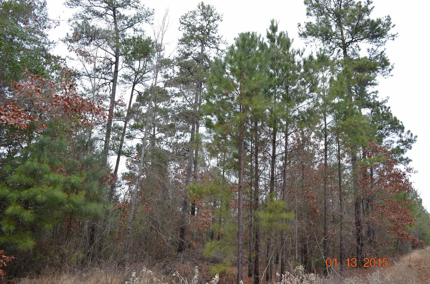 4.8 Acres of Residential Land for Sale in Gilmer, Texas