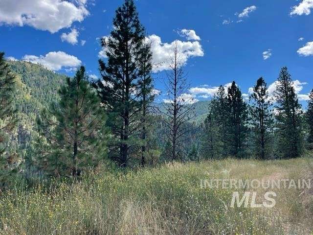 41.6 Acres of Land for Sale in Garden Valley, Idaho