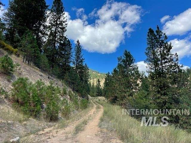 41.57 Acres of Recreational Land for Sale in Garden Valley, Idaho