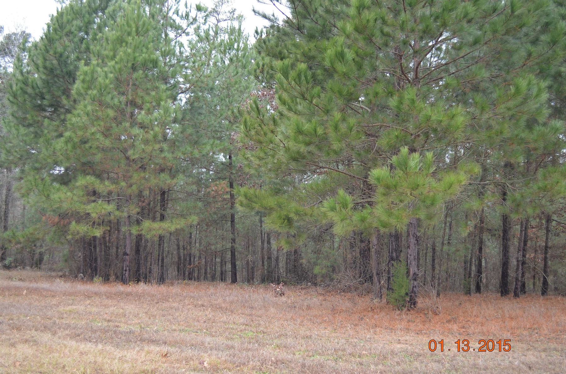 1.4 Acres of Residential Land for Sale in Gilmer, Texas