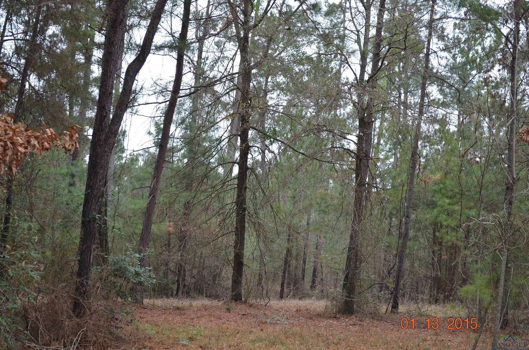 1.1 Acres of Residential Land for Sale in Gilmer, Texas