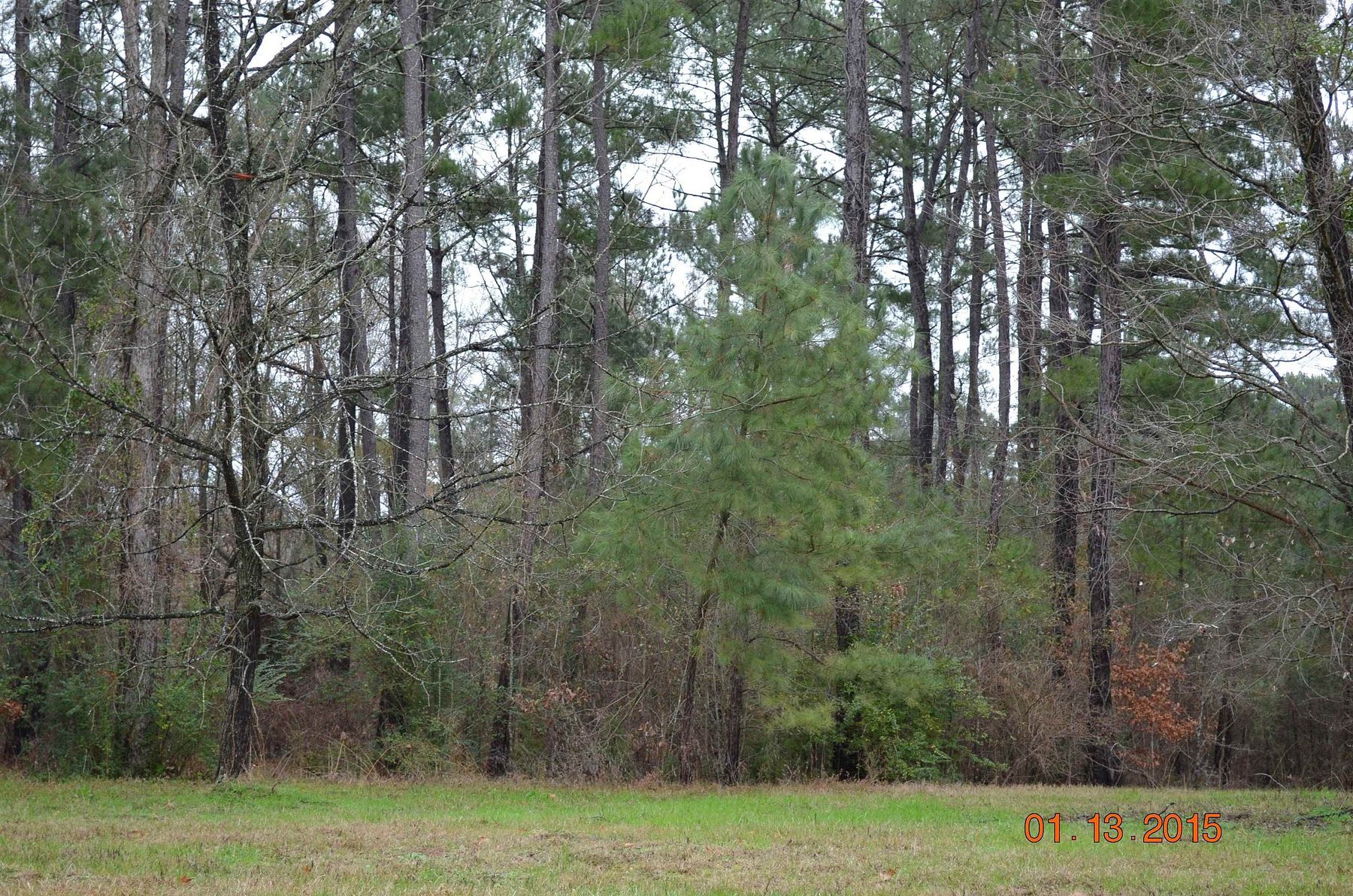 1.3 Acres of Residential Land for Sale in Gilmer, Texas